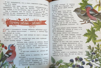 Николай Сладков: Лесные сказки