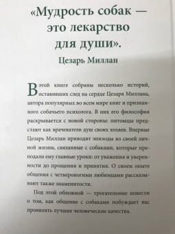 Цезарь Миллан: Уроки для "Вожака стаи"