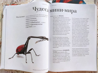 Барт Россел: Поразительные насекомые. Книга про подземных математиков, мастеров блефа, дружных кочевников, зомби