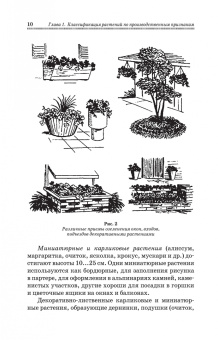 Шаламова, Крупина, Миникаев: Цветоводство. Практикум. Учебное пособие