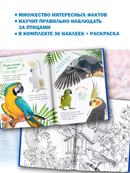 Мария Рахчеева: Птицы