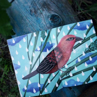 Цветные сказки