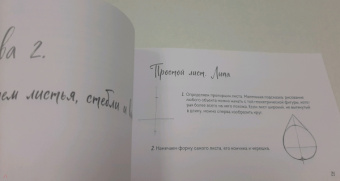 Анна Николаева: Скетчбук по ботанической иллюстрации. Простые пошаговые уроки по рисованию цветов и растений
