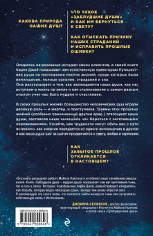 Карен Джой: Заблудшая душа - мудрая душа. Как испытания прошлых жизней формируют наше будущее