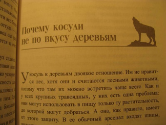 Петер Воллебен: Тайные связи в природе