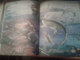 Евстигнеев, Ященко: Кто на свете старше динозавра... или Почему киты живут в воде, а слоны на суше?