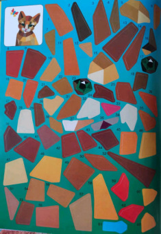 Котята и кошки