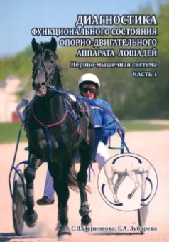 Чернигова, Зубарева: Диагностика функционального состояния опорно-двигательного аппарата лошадей. Нервно-мышечная система