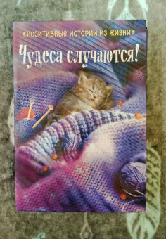 Шумак, Чернецкая: Чудеса случаются!