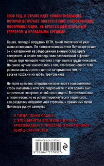 Сергей Зверев: Черный треугольник