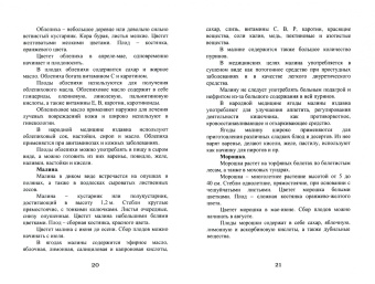 Иван Дубровин: Лес – кормилец