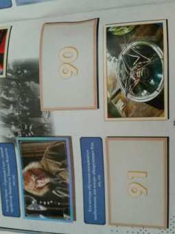 Альбом Гарри Поттер Сага (8018190004243)