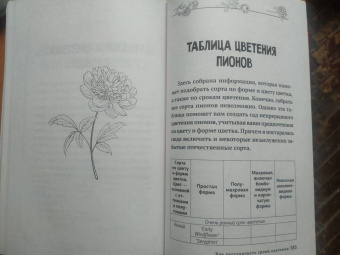 Лариса Кочелаева: Энциклопедия цветовода