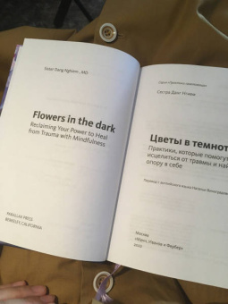 Данг Нгием: Цветы в темноте. Практики, которые помогут исцелиться от травмы и найти опору в себе