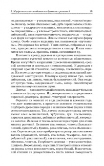 Попова, Попов, Харахонова: Древесные растения лесных, защитных и зеленых насаждений. Учебное пособие для СПО