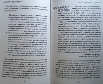 Альфериан Маклир: Жезл ведьмы. Изготовление, история и магические свойства волшебных палочек