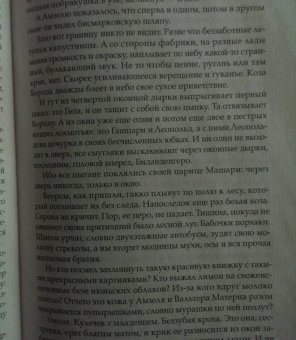 Гюнтер Грасс: Собачьи годы