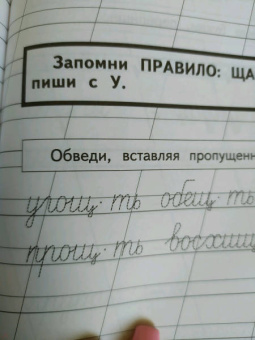 Надежда Жукова: Прописи для детей 6-8 лет. В 3-х тетрадях