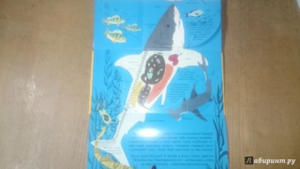 Боманн, Дюпон: Животные снаружи и внутри