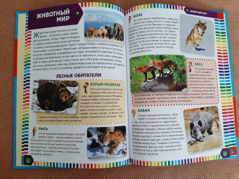 Первая энциклопедия для дошкольников