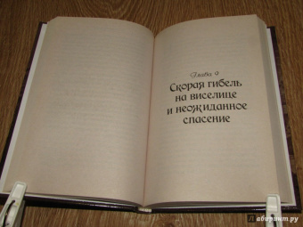 Амир Али: Веселый Роджер
