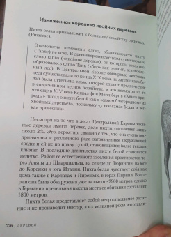 Андреас Хазе: Деревья. Как жизни человека и дерева переплетены друг с другом