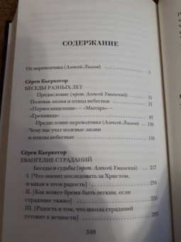 Серен Кьеркегор: Беседы и размышления