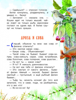 Николай Сладков: Лесные сказки