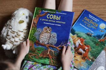 Фридерун Райхенштеттер: Совы и другие ночные животные. Познавательные истории