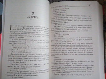 Сэм Сайкс: Десять железных стрел