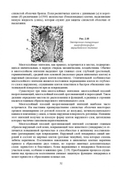 Зеленевский, Зеленевский, Щипакин: Анатомия и физиология сельскохозяйственных животных. Учебник для СПО