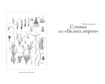 Элизабет Гилберт: Происхождение всех вещей