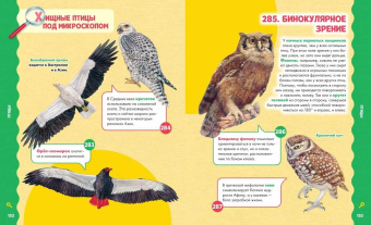 Лиза Лупано: Животные