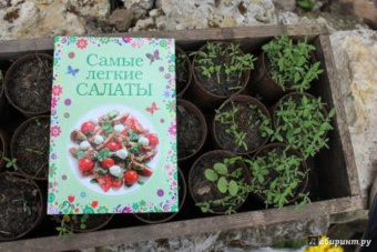 Самые легкие салаты