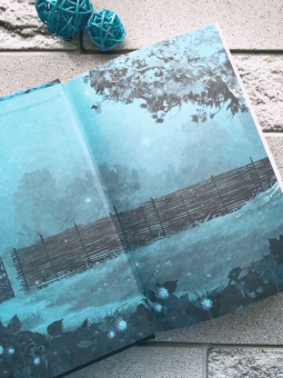 Карина Демина: Юся и эльф