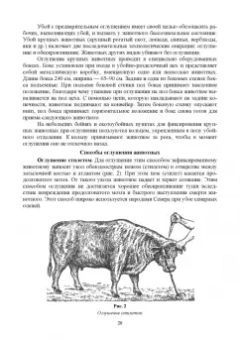 Мишанин, Мишанин, Касьянов: Биотехнология мяса и мясопродуктов. Учебное пособие для вузов