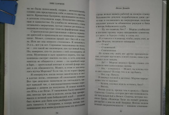 Эми Хармон: Песнь Давида