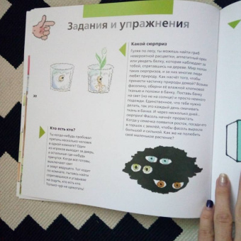 Нуриа Рока: Чувства. От печали до радости