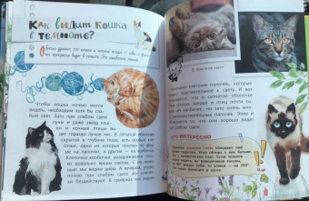 Танасийчук, Волцит, Альтшулер: Почемучкины сказки о животных