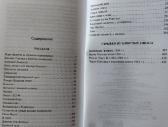 Сильвия Плат: Мэри Вентура и "Девятое королевство". Рассказы