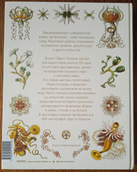 Эрнест Геккель: Красота форм в природе