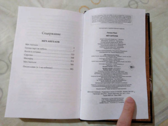 Яцек Пекара: Меч ангелов