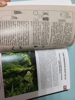 Шмаков, Дадыкин, Верлатова: Ископаемые Московского региона. Атлас-определитель