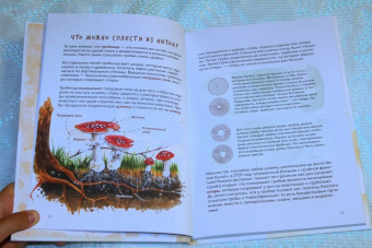 Михаил Вишневский: Грибы. Атлас-определитель