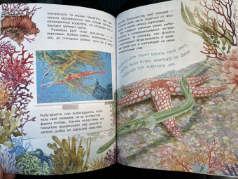 Александр Тамбиев: Как увидеть морское дно?