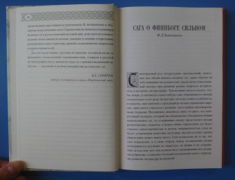 Вадим Сеничев: Эпоха первых исландцев. Саги об Эйрике Красном и о Финнбоге Сильном