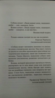 Бернар Вербер: Завтрашний день кошки
