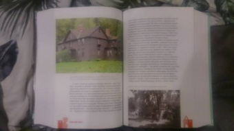 Луиза Олкотт: Все истории о маленьких женщинах и маленьких мужчинах