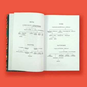 Сет Викрам: Достойный жених. Книга 1