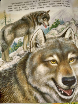 Николай Сладков: Сказки лесной опушки